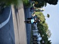 Tn dsc 6220